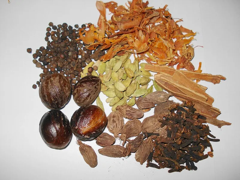Spice Science: What Happens When Garam Masala Meets Mozzarella